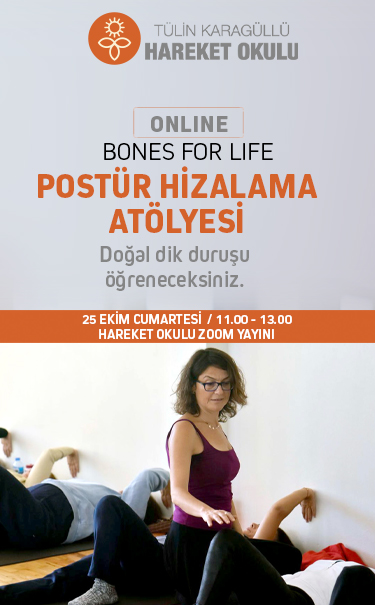 Postür Hizalama Atölyesi