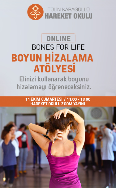 Boyun Hizalama Atölyesi